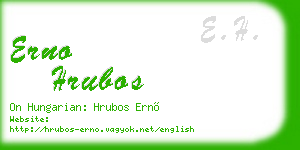 erno hrubos business card
